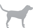 Adult dog icon